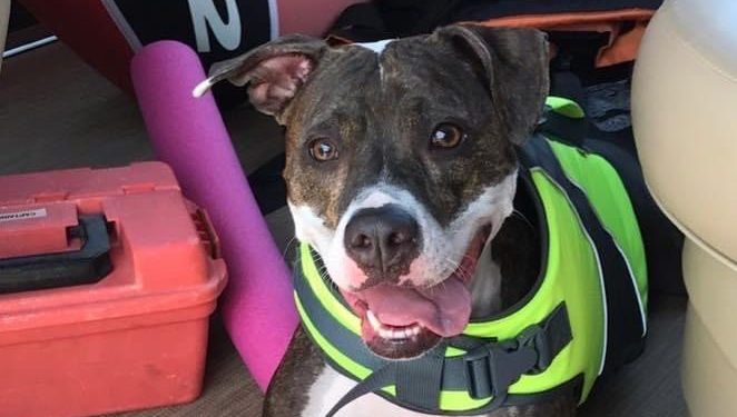 *Part 1: Arbor and&nbsp;Trisha